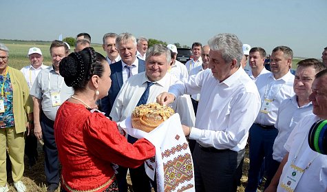 Сергей Грачев: «Деньги, направляемые в аграрный сектор, должны работать максимально эффективно»